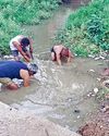 कर्मचारियों ने सफाई व्यवस्था की दुरुस्त1