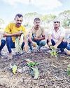 खरकगागर में तेज तूफान से मरे सैकड़ों तोते3