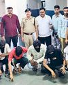 गोदाम से खाद के 120 कट्टे लूटने के 8 आरोपी गिरफ्तार0