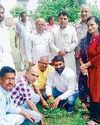 ग्रीनमैन प्रो. दलजीत ने रौपा बरगद का पौधा11