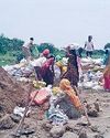 यमुना में बाढ़ को रोकने के लिए मजदूरों ने लगाए कट्टे13