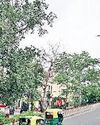 बूंदाबांदी ने बनाई ठंडक, सावन की तरह बीत रहा नौतपा, आज से एक और पश्चिमी विक्षोभ2