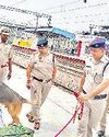 रेलवे स्टेशन पर पहुंची डॉग स्कवाड3