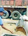 कैडेट्स ने पर्यावरण संरक्षण को बनाया अपने जीवन का हिस्सा11