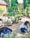 विद्यार्थियों ने पौधरोपण कर पौधों के पोषण और उनकी देखभाल करने का लिया संकल्प4