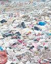 प्लास्टिक पॉलीथिन के प्रति नहीं दिख रही सख्ती और जागरूकता, पसरी गंदगी5