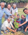 सेक्टर-6 में मां के नाम लगाया पेड़11