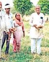 योजनाओं का लाभ लेकर किसान बन रहे आत्मनिर्भरः नांगल के किसान गजेंद्र सिंह व रोशनलाल ने नकदी फसलों को अपनाया15