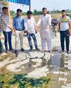 नांगल चौधरी : वार्ड 11 के पाइप में कचरा फंसने से सीवर ओवरफ्लो, दुर्गंध से परेशानी11