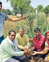 पर्यावरण दिवस विशेषः दूसरों को जागरूक करके पर्यावरण संरक्षण की पहल कर रही प्रयास श्रीबालाजी संस्था1