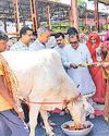 असहाय सेवा संस्थान ने लगाई गोसवामणि10