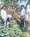 जन स्वास्थ्य अभियांत्रिकी विभाग की टीम ने काटे 10 अवैध कनेक्शन16