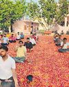 मानसिक-शारीरिक संतुलन के लिए करें योग10
