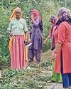गांवों में चलाया गया सघन स्वच्छता अभियान9