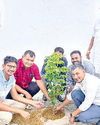 एलएन ग्रुप ऑफ एजुकेशनल इंस्टीट्यूशंस में किया पौधरोपण16