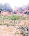 मॉडल टाउन पार्क पर कब्जा कर लोगों ने लगा ली सब्जियां, कूड़े के लगे ढेर मॉडल टाउन पार्क पर कब्जा कर लोगों ने लगा ली सब्जियां, कूड़े के लगे ढेर