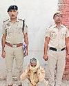 सांवरा हत्याकांड का मुख्य आरोपी गिरफ्तार7