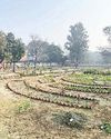 15 विद्यार्थियों ने विभिन्न परीक्षाओं में किया विवि का नाम रोशन नई ऊंचाइयां छू रहा है सीडीएलयू का बॉटनी विभाग13