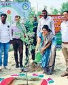'एक पेड़ मां के नाम 2.0' से तहत किया पौधरोपण स्वस्थ वातावरण के लिए लगाएं ज्यादा से ज्यादा पौधे45