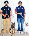स्निफर डॉग 'जैक' और 'रैम्बो' की सहायता ने पुलिस ने लाखों का नशा पकड़ा8
