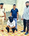 क्रिकेट सट्टेबाजी के नाम पर लाखों की धोखाधड़ी करने का आरोपी गिरफ्तार, अन्य की तलाश जारी2