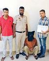 अवैध पिस्तौल सहित एक आरोपी को दबोचा3