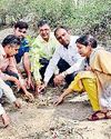 पौधों की करें अपने बच्चों की तरह परवरिश : राजेश सैनी11
