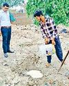 घेवर समेत आठ मिठाइयों के भरे सैंपल3
