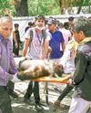 2 मिनट में ही 241 यात्रियों की जिंदगी खत्म0
