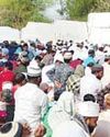 जिले भर में मनाया गया बकरीद पर्व, अमन चैन की मांगी दुआ5
