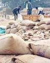 जिले के किसानों को अब तक हुआ 361 करोड़ रूपये का भुगतान5