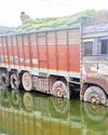 जिले के लिए 720 मीट्रिक टन उर्वरक की आई खेप, दूर होगी समस्या7