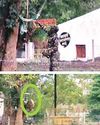 टीआई ने कराया पेड़ का कत्लेआम टीआई ने कराया पेड़ का कत्लेआम9