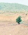 50 लाख रुपए की लागत से बना अमृत सरोवर खुद प्यासा, विभागीय लापरवाही से तालाब सूखे पड़े8