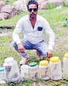 एक माह में विभिन्न प्रजाति के 100 से अधिक सर्पों का सर्प प्रहरियों ने रेस्क्यू कर छोडा जंगल में12