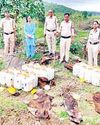 110 लीटर अवैध कच्ची शराब जप्त, 2300 किलो महुआ लाहन को किया नष्ट3