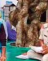 शादी समारोह से लौट रहे तीन युवकों में से एक की मौत, दो घायल शादी समारोह से लौट रहे तीन युवकों में से एक की मौत, दो घायल
