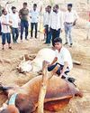 नागलवाड़ी में आकाशीय बिजली का कहर2
