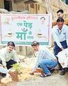 अंतर्राष्ट्रीय सहकारिता वर्ष पर एक पेड़ माँ के नाम तहत हुआ पौधारोपण25