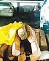 पुलिस ने जब्त की 22 नग इमारती सागौन की लकड़ी2