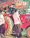 सडक़ों पर बैठे आवारा पशुओं को पकडने गई नपा की हाका गैंग8