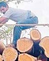 वन विभाग की टीम ने 3.5 लाख रुपए की सागौन की लकड़ी की जप्त, गड़रिया मोड़ के पास हुई कार्रवाई14