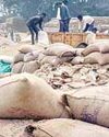 जिले के किसानों को अब तक हुआ 361 करोड़ रूपये का भुगतान10