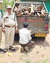 अवैध तरीके से लकड़ी परिवहन करते हुये वन विभाग द्वारा महेन्द्रा कैम्पर किया गया जप्त7