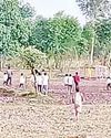 भालू की दस्तक से गांव में दहशत का माहौल18