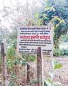 फोटो शूट कराने तक सिमटा तालाब सफाई का अभियान फोटो शूट कराने तक सिमटा तालाब सफाई का अभियान0