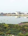 गंगासागर तालाब की भूमि की पुराई और निर्माण कार्य पर रोक3