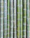 Cogeneration of Power from Sugarcane Bagasse: Technology, Efficiency, and Industrial Application6