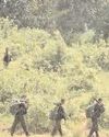 'Peace process underway': SC defers plea for probe into 2018 Sukma encounter case 'Peace process underway': SC defers plea for probe into 2018 Sukma encounter case