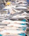 'We are the ones who built the temple,' say CR Park fish vendors to shutdown threat 'We are the ones who built the temple,' say CR Park fish vendors to shutdown threat